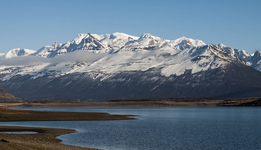 Calafate