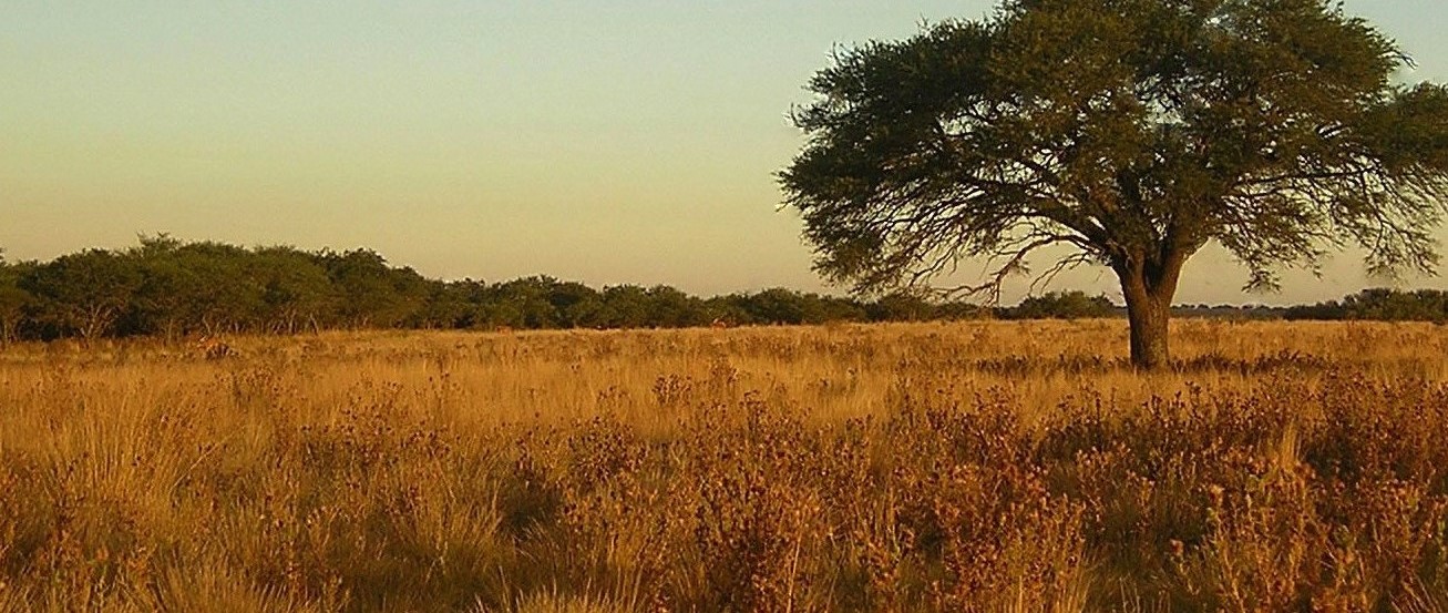 La Pampa Excursiones y actividades locales para