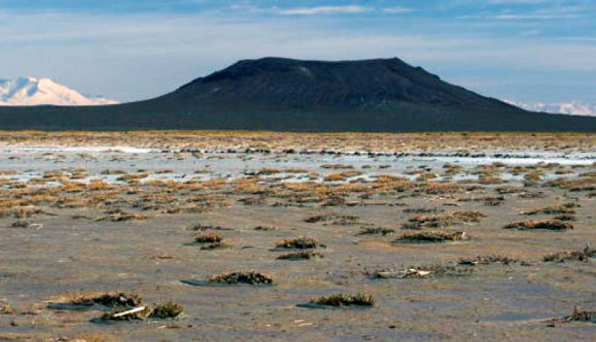 Volcán Malacara y Laguna de Llancanelo